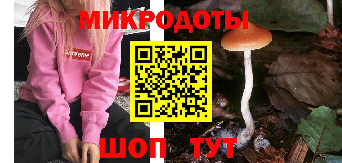 Майкоп  Псилоцибиновые грибы GOLDEN TEACHER  Вход с VPN 